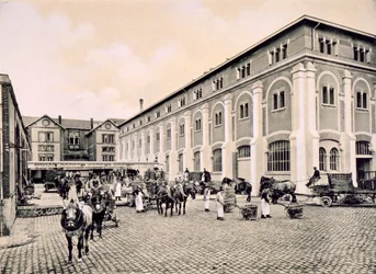 Wagen zum Transport des Champagners, aus 